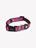 COLLAR DOGTELLA